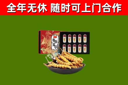 章丘烟酒回收冬虫夏草礼盒.jpg